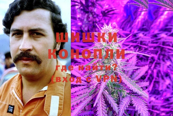 спиды Лагань