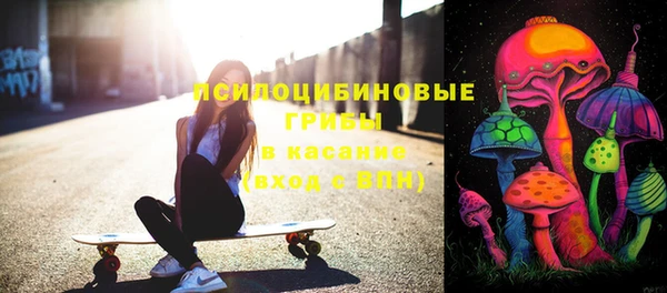 спиды Лагань