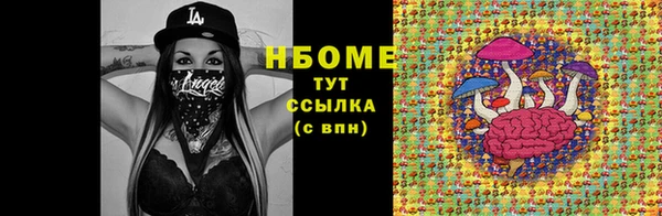 спиды Лагань