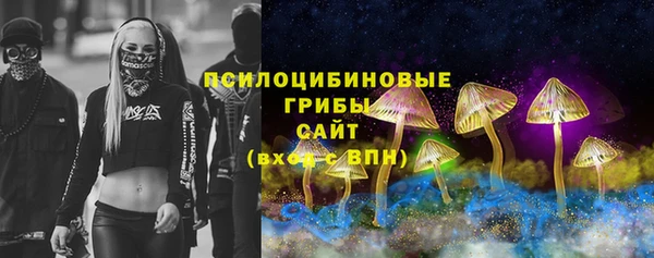 спиды Лагань