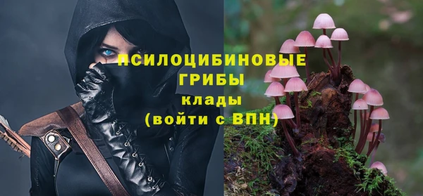 винт Ладушкин
