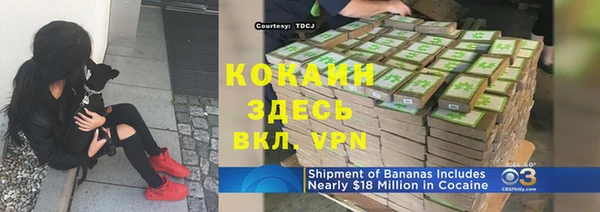 спиды Лагань